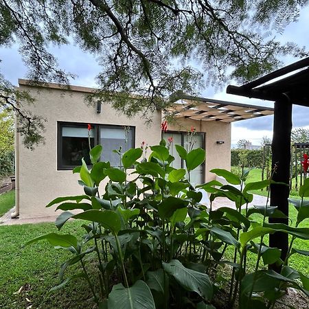 Loft Los Cerezos En Vistalba, Zona De Vinedos Y Bodegas Lujan de Cuyo Екстер'єр фото